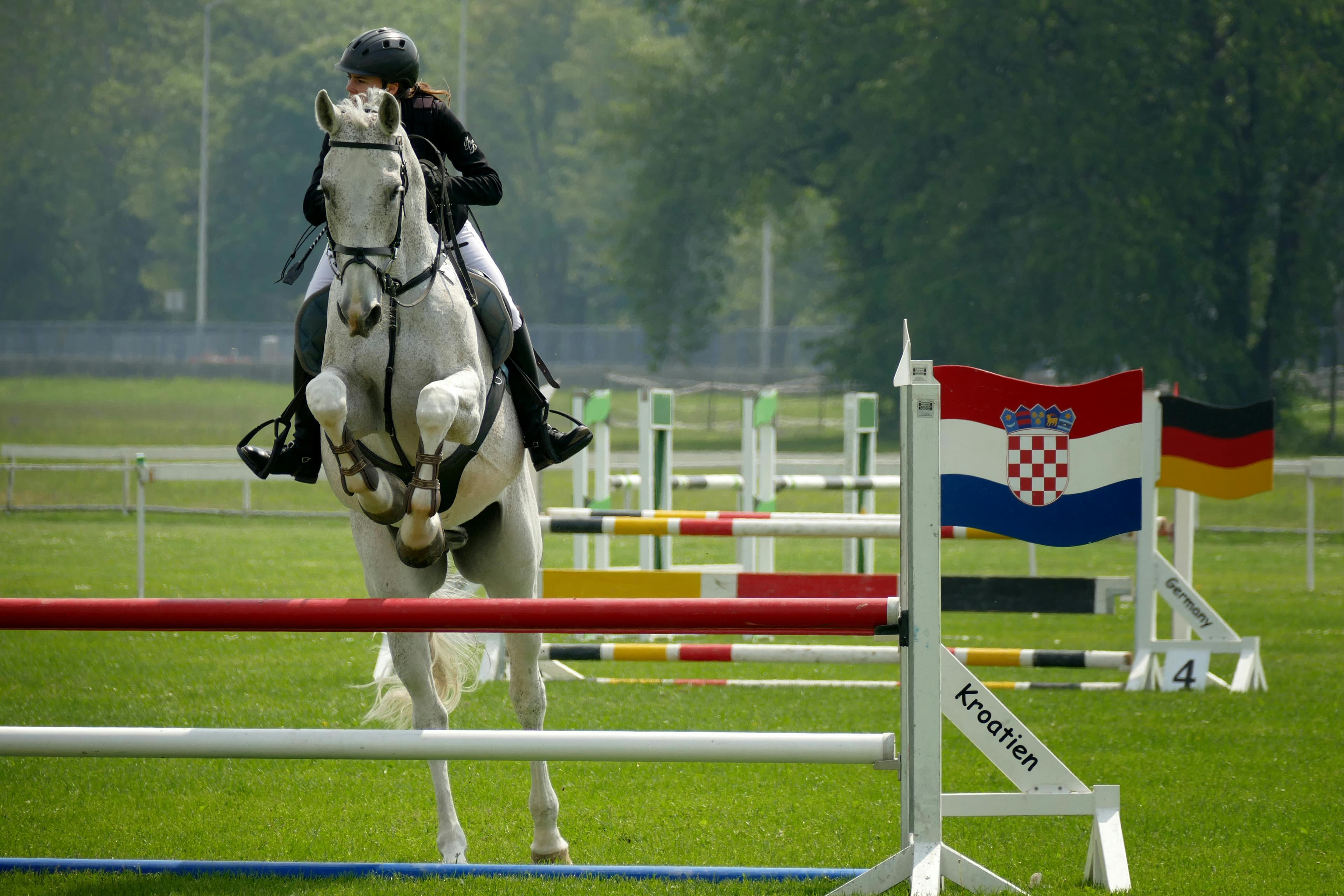A jockey on a horse jumps over a hurdle.
